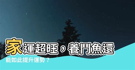 鬥魚擋煞|【鬥魚 風水】養鬥魚提升運勢？家裡養魚風水大解析